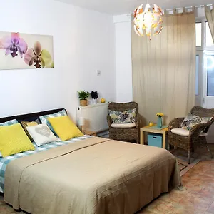 Collosal Studio Apartment